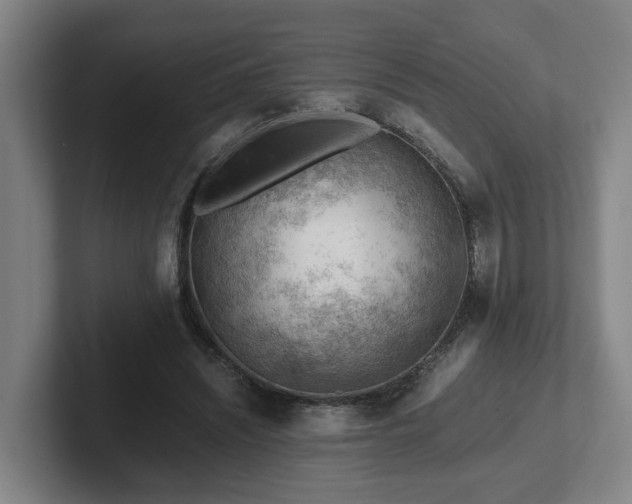 X0000101960444200807251158