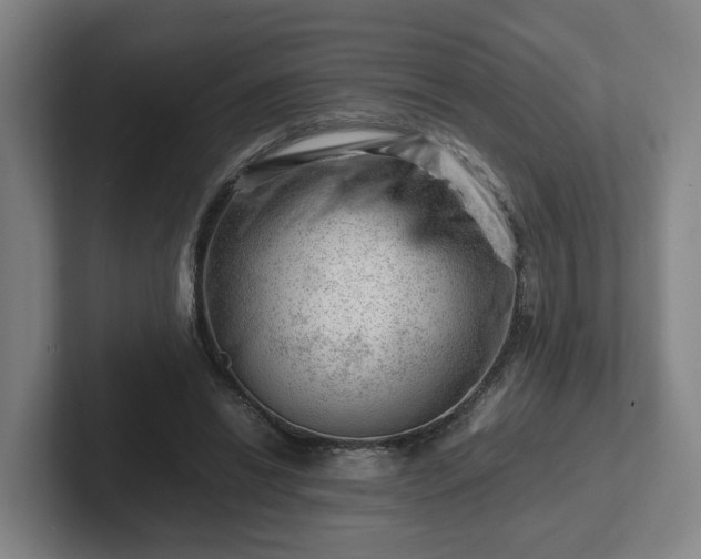 X0000101960446200807251158