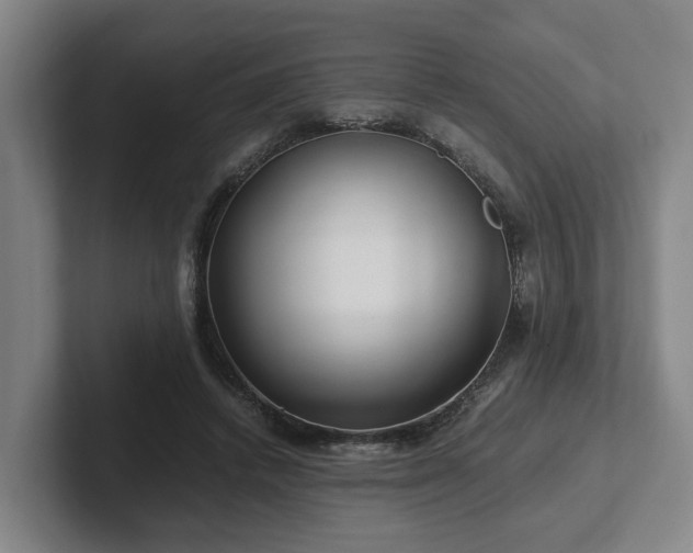 X0000101960448200807251158