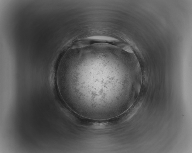 X0000101960450200807251158