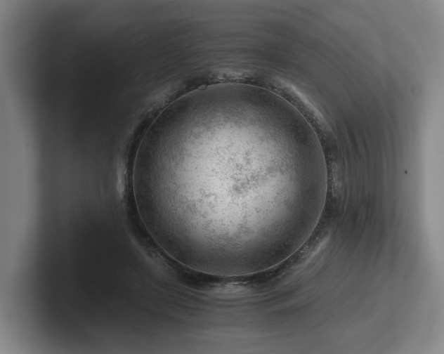 X0000101960451200807251158