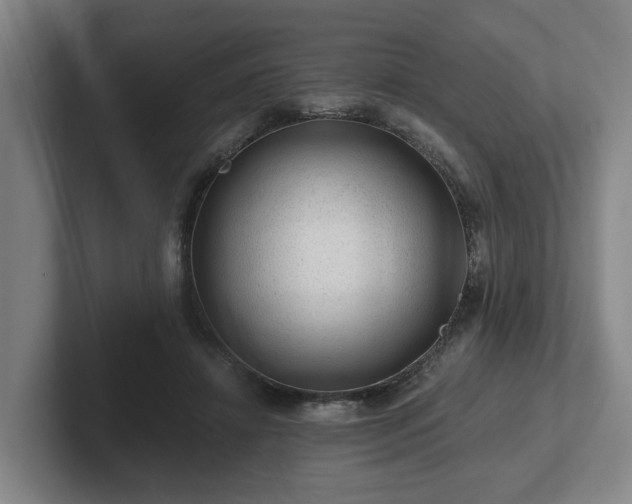 X0000101960452200807251158