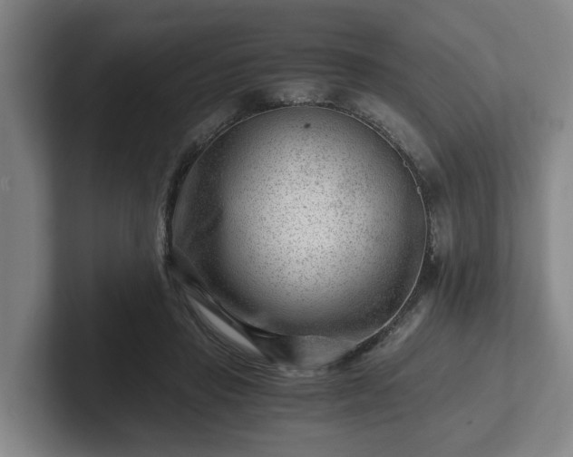 X0000101960453200807251158