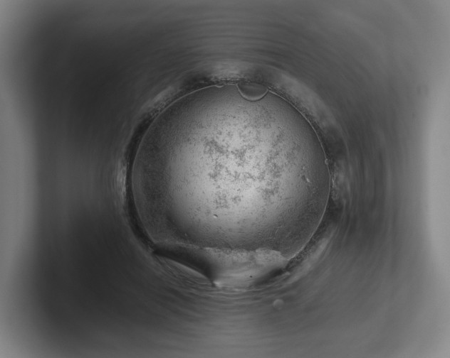 X0000101960454200807251158