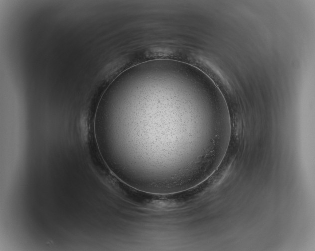 X0000101960455200807251158