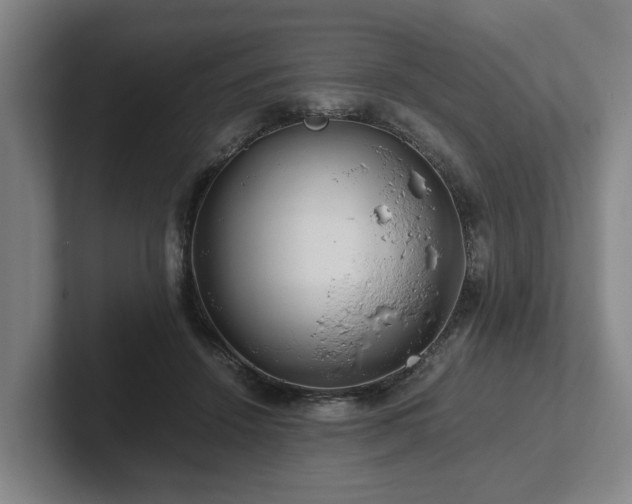 X0000101960456200807251158