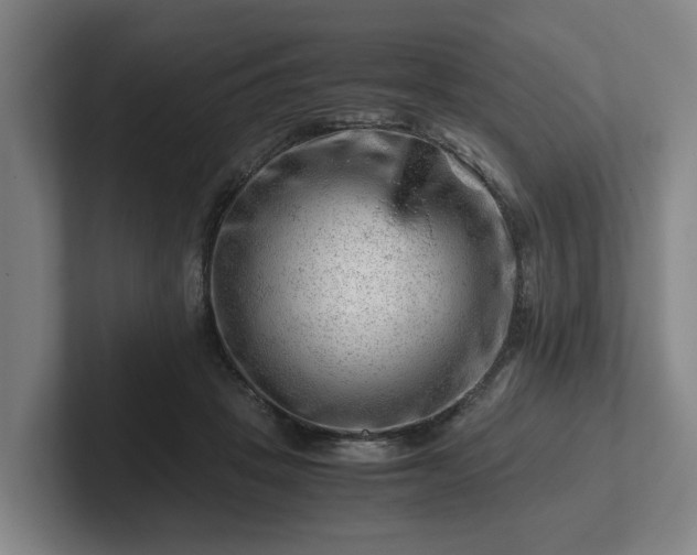 X0000101960457200807251158