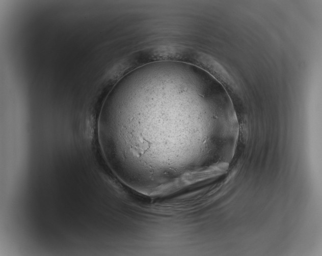 X0000101960458200807251158