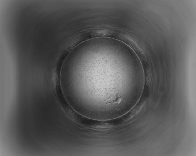 X0000101960459200807251158