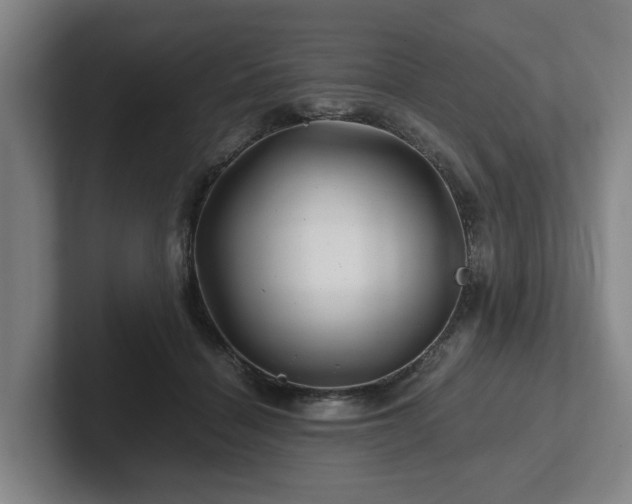 X0000101960460200807251158