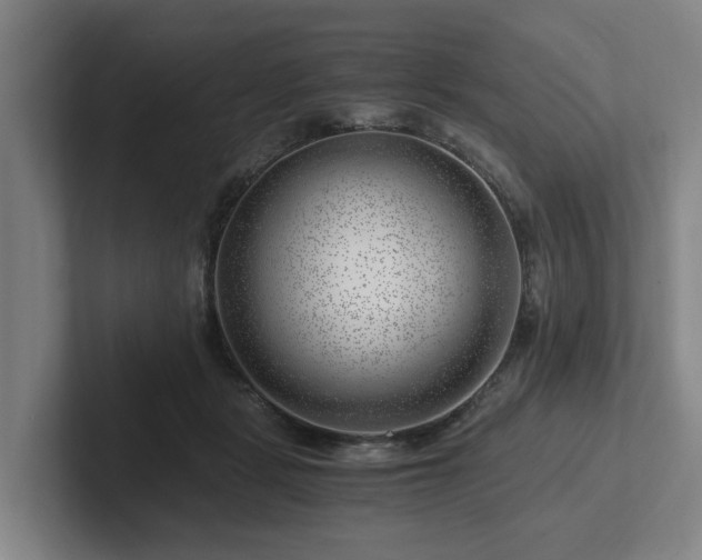 X0000101960461200807251158