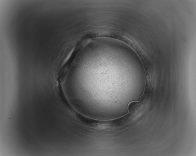 X0000101960462200807251158