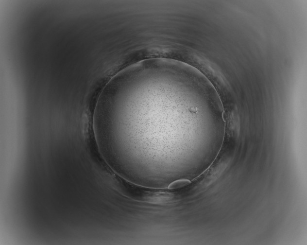 X0000101960463200807251158