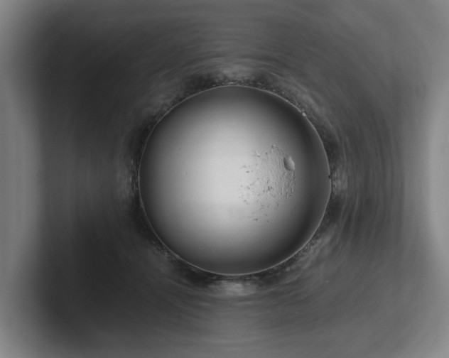 X0000101960464200807251158