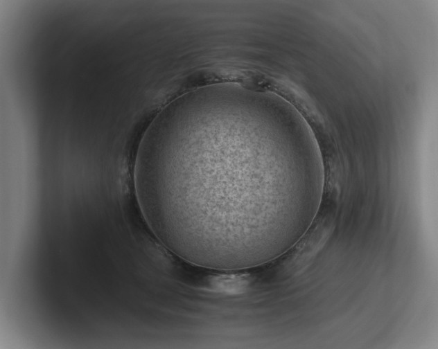 X0000101960465200807251158