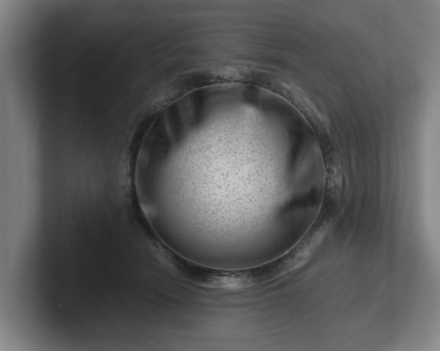 X0000101960466200807251158