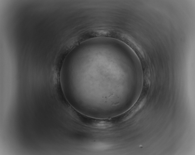 X0000101960467200807251158