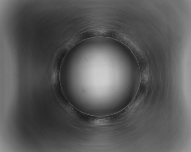 X0000101960468200807251158