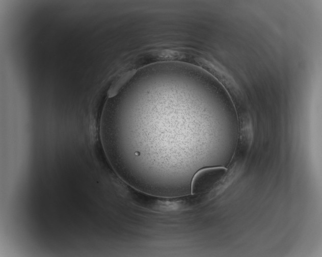 X0000101960469200807251158