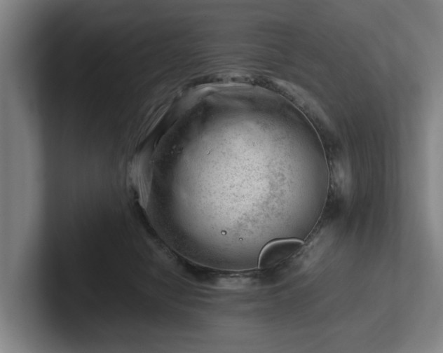 X0000101960470200807251158