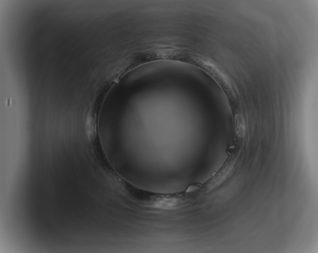 X0000101960471200807251158