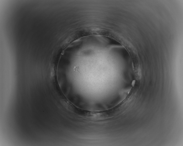 X0000101960472200807251158