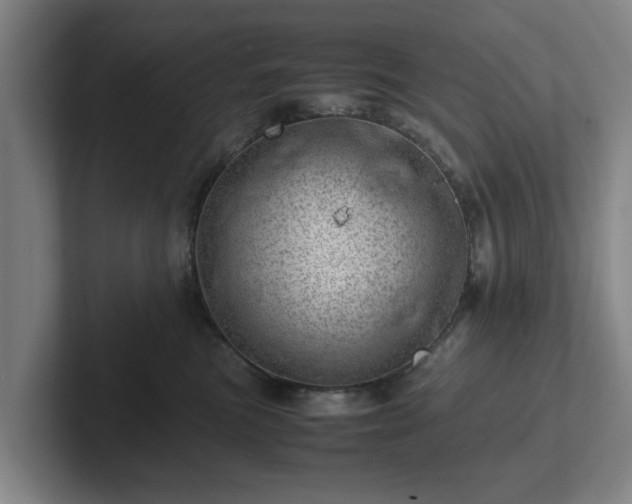 X0000101960473200807251158