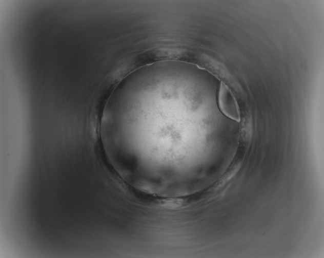 X0000101960474200807251158