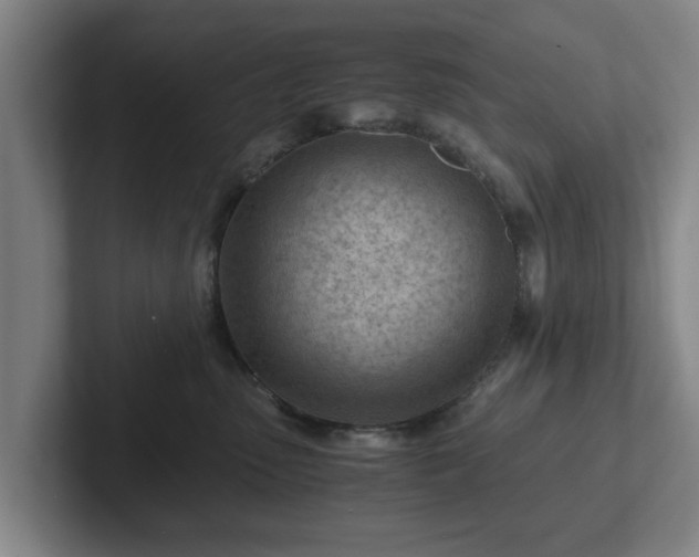 X0000101960475200807251158