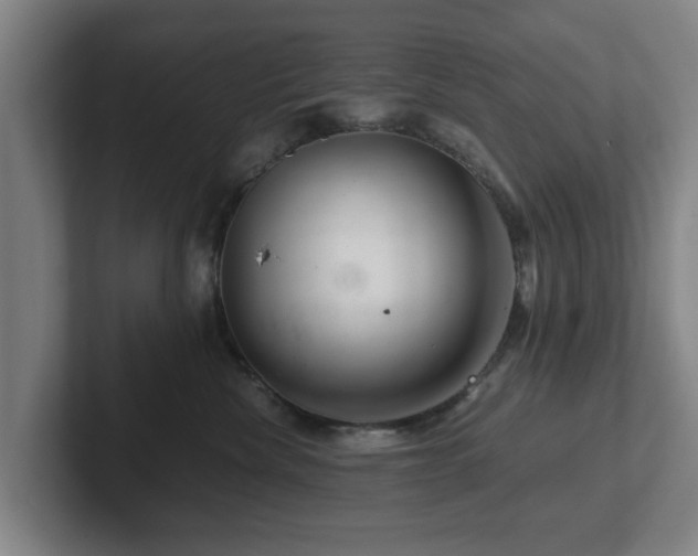 X0000101960476200807251158