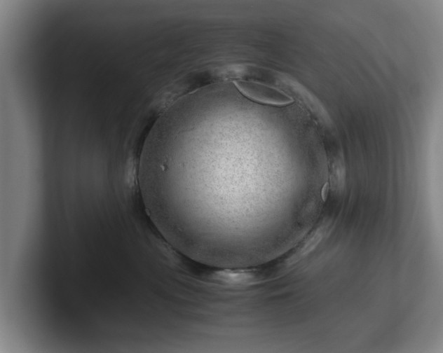 X0000101960477200807251158