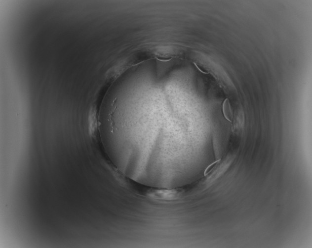 X0000101960478200807251158