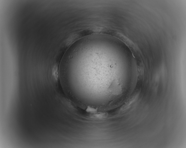 X0000101960479200807251158