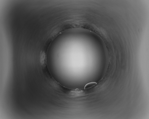 X0000101960480200807251158