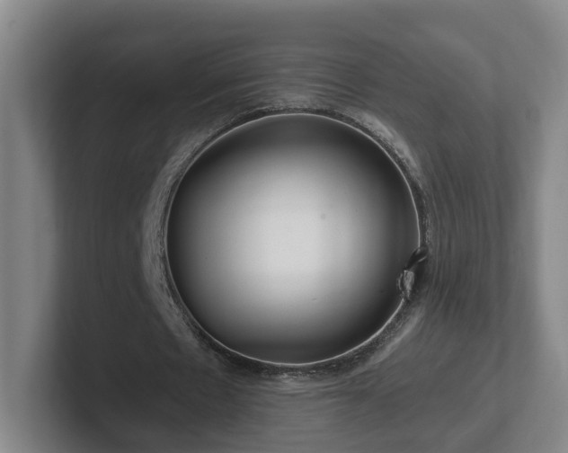 X0000101960481200807251157