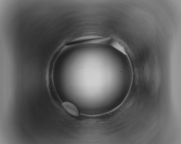 X0000101960482200807251157