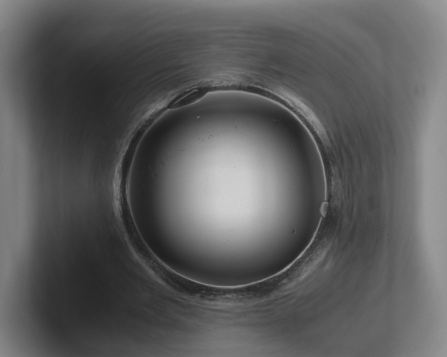 X0000101960485200807251157