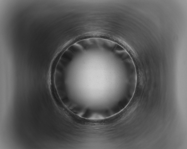 X0000101960486200807251157