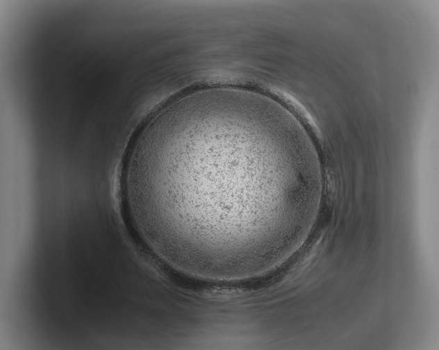 X0000101960487200807251157