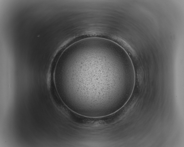 X0000101960488200807251157