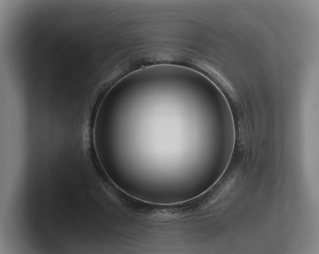 X0000101960489200807251157