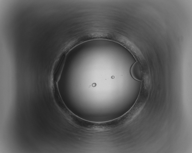 X0000101960490200807251157