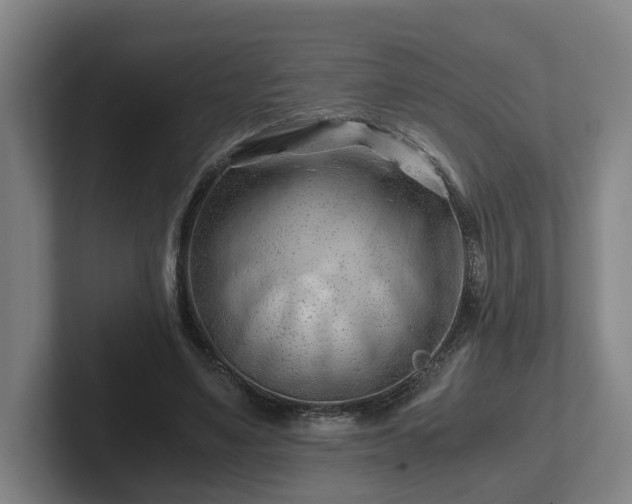 X0000101960491200807251157