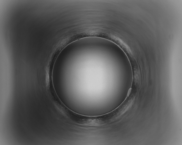 X0000101960493200807251157