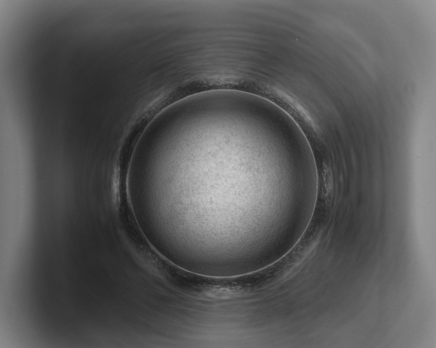 X0000101960494200807251157