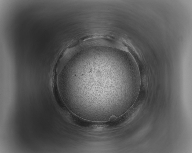 X0000101960495200807251157