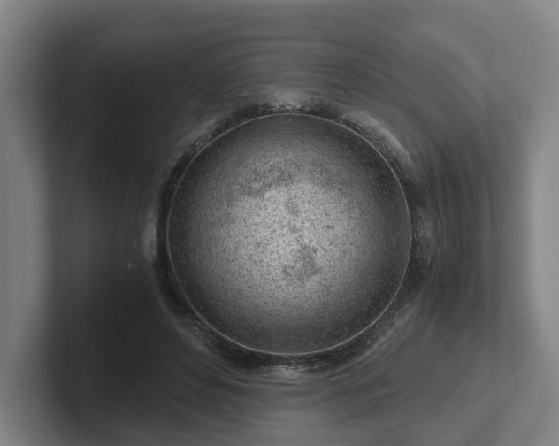 X0000101960496200807251157