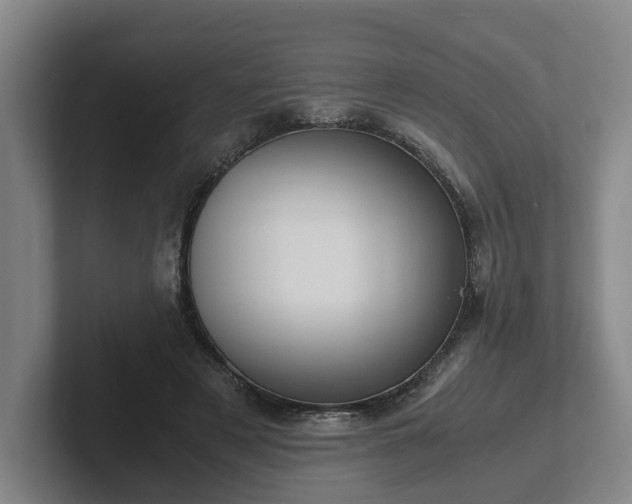 X0000101960497200807251157