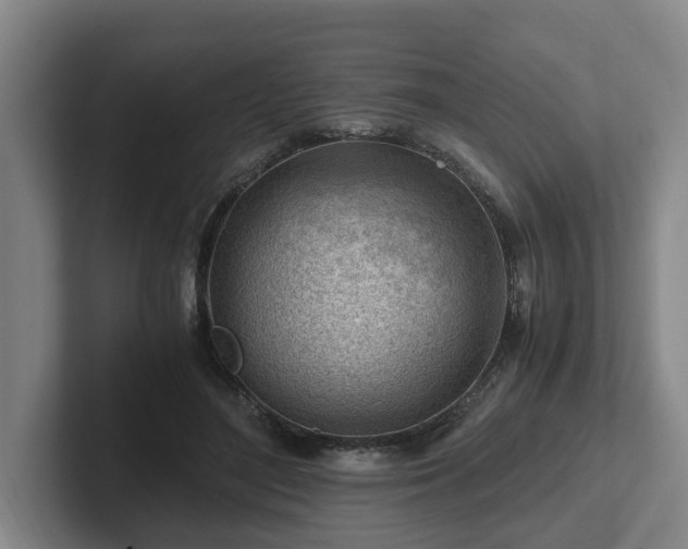 X0000101960500200807251157