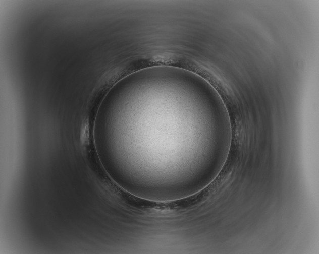 X0000101960502200807251157